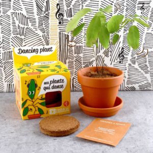 EKO Audzēšanas komplekts "Dancing plant mini"